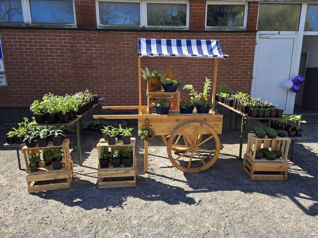 Unser Marktstand